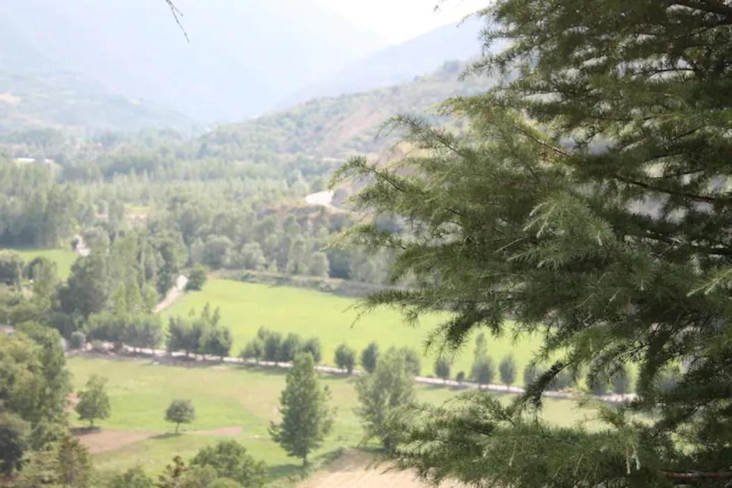 La Caseta Del Bosc De سورت المظهر الخارجي الصورة